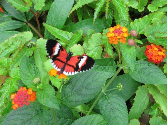 Jardín del Papagayo